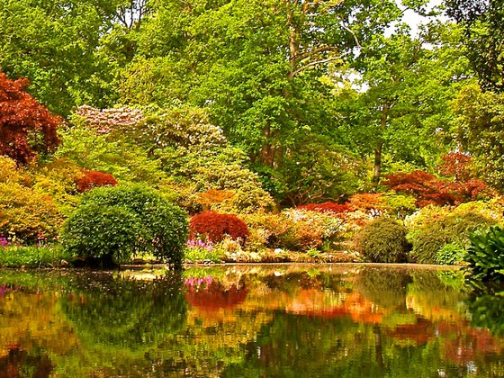 Springtime at Exbury Gardens