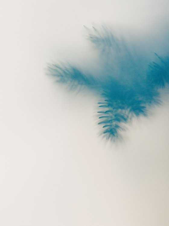 Blue Silence