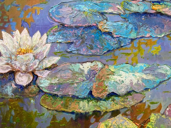 Water lilies / for Michael /