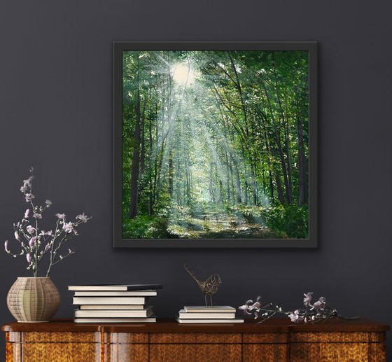 Where The Light Finds You