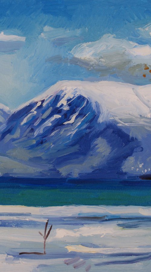 Winter by Joan Mato