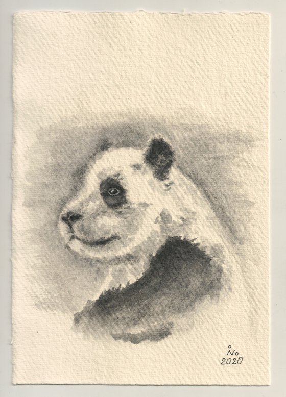 Portrait of baby panda