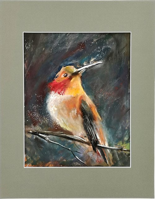 Hummingbird on the branch by Olga Shefranov (Tchefranov)