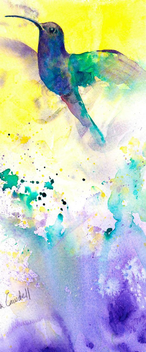 Hummingbird by Anjana Cawdell