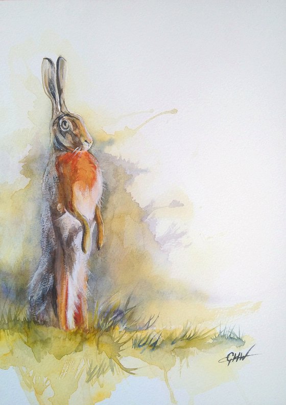 Hare on Watch
