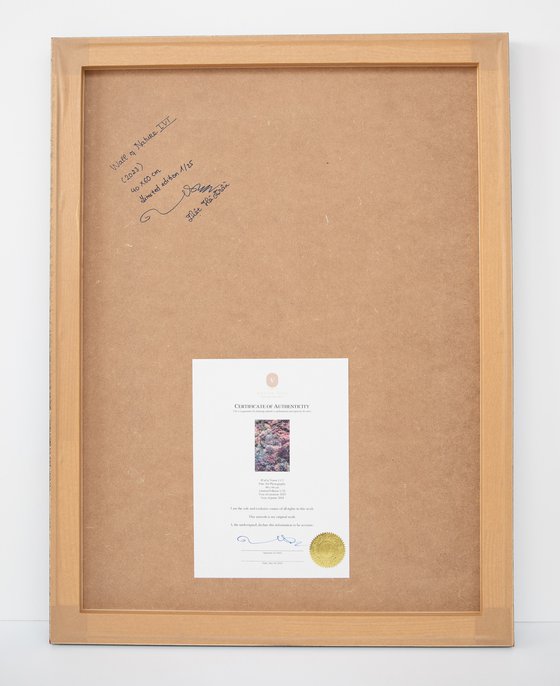 Wall of Nature LXVII (Framed)