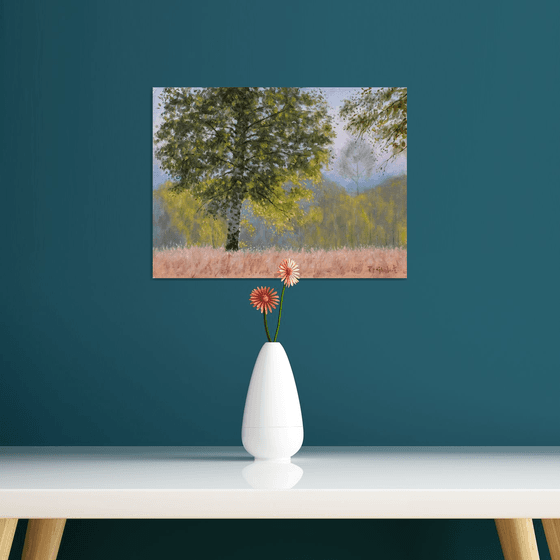 The Lonely Birch