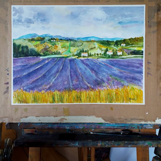 LAVENDER FIELD