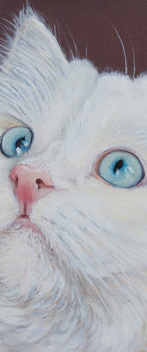 White cat portrait by Norma Beatriz Zaro