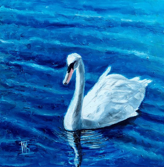 Swan and blue water