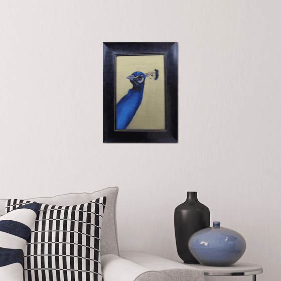 Peacock Portrait in Electric Blue