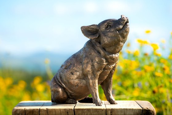 Sitting Piglet BR