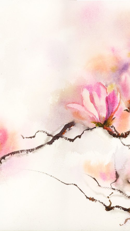 Magnolia by Sophie Rodionov