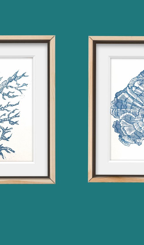 Blue Coral by Amy Cundall