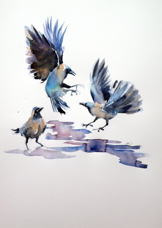 Crows