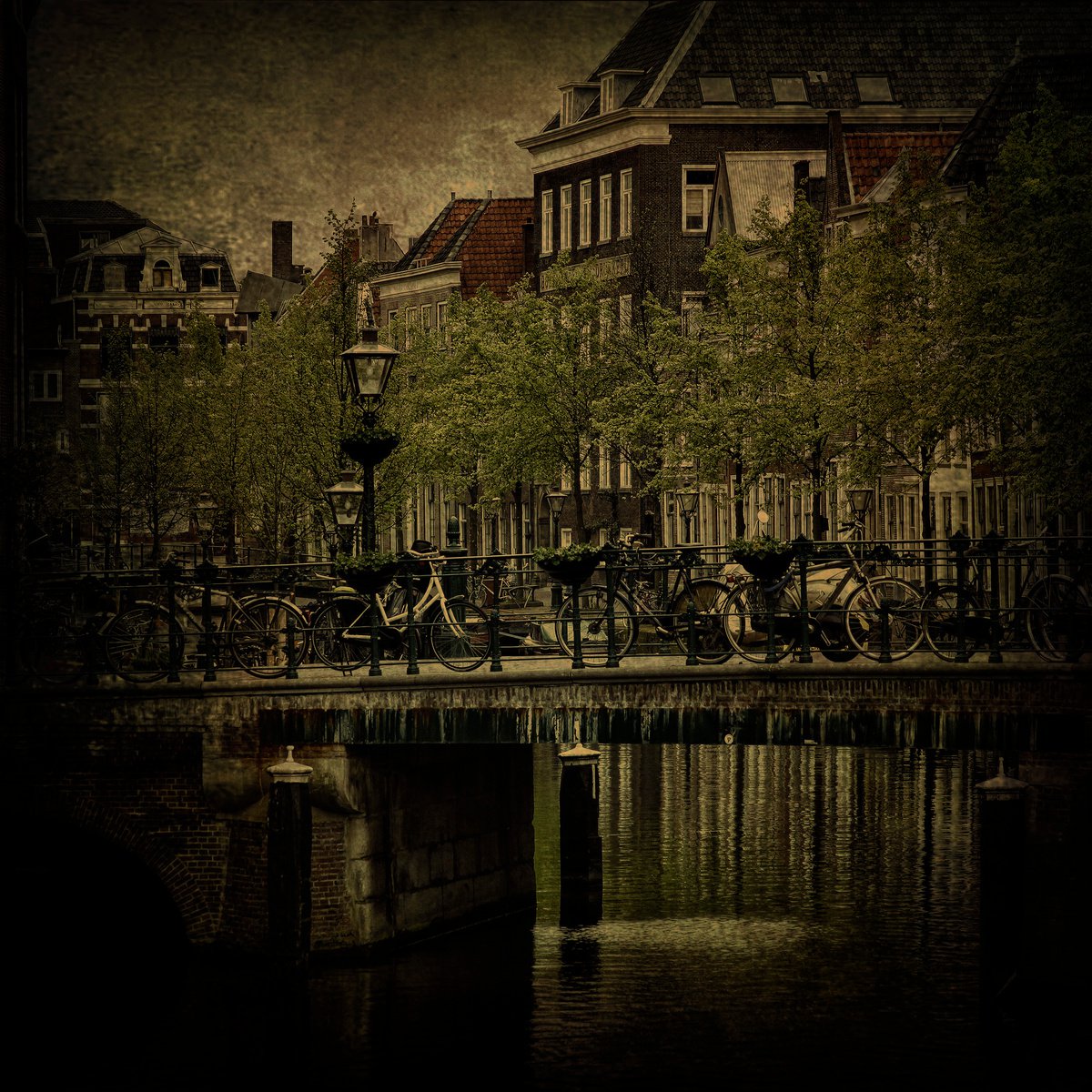 Bicycles at Leiden by Martin Fry