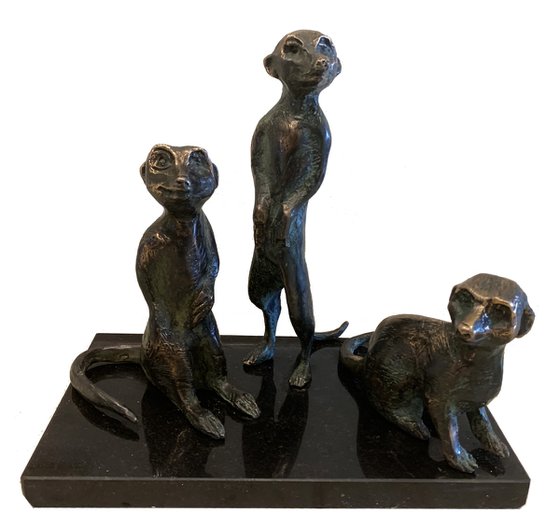 Meerkats
