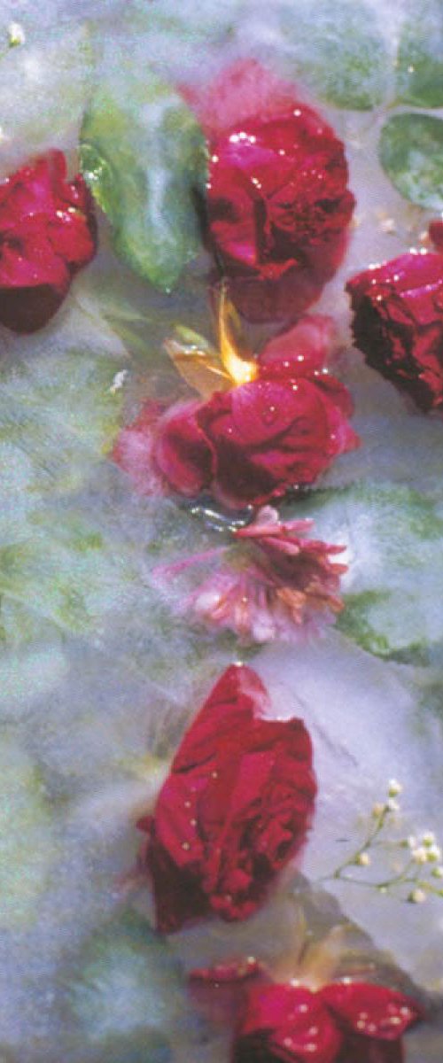 Roses by Cassandra Jones Digital Artist