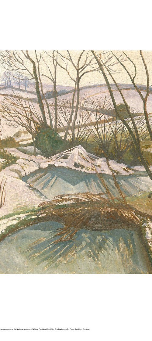 Frozen Ponds by John Nash