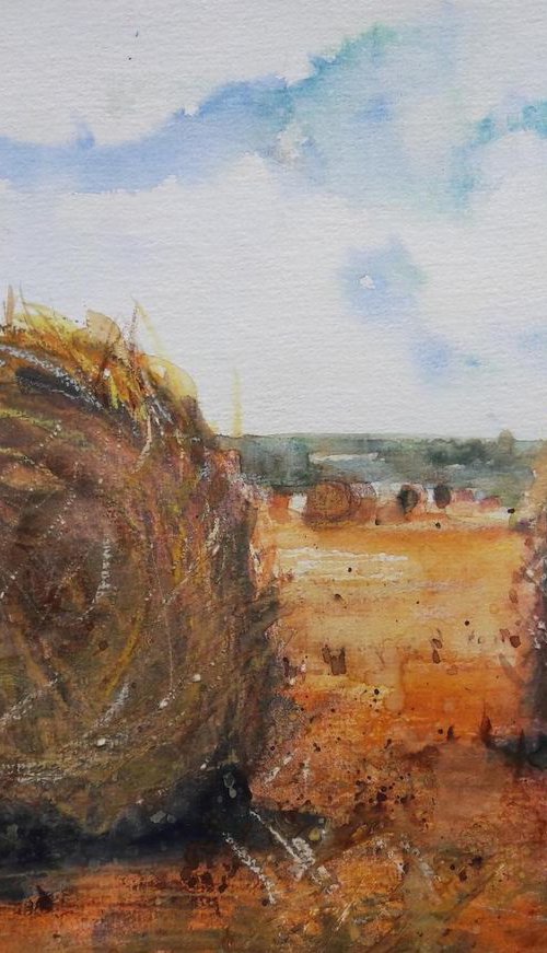 Hay bales summer by Teresa Tanner