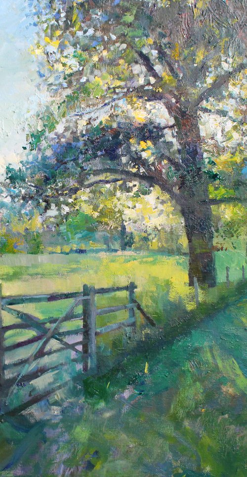 Evening light, near Great Hamden House by Christian Twelftree