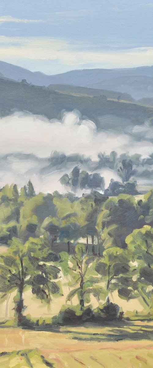 May 29, morning mists on the Loire valley by ANNE BAUDEQUIN