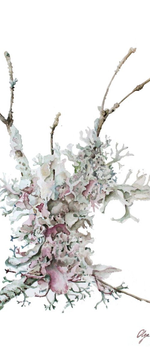 A branch with dry wild moss by Olga Koelsch