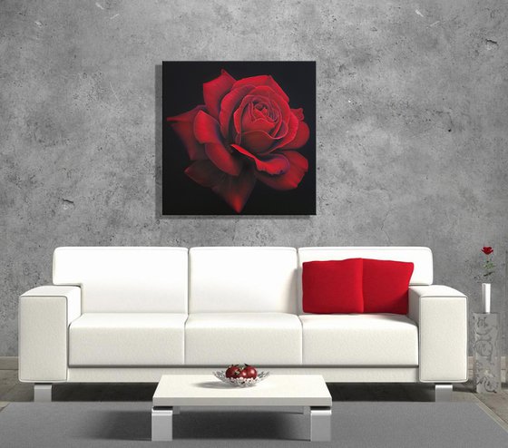 "Red rose", on black background