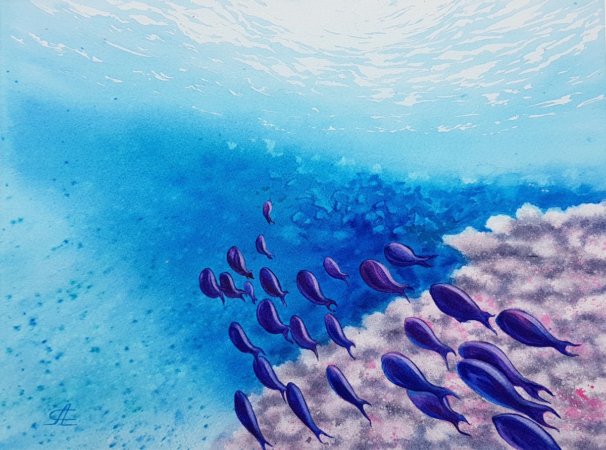 Underwater coral fishes by Svetlana Lileeva