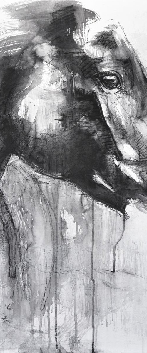 Equine Nude 35t by Benedicte Gele