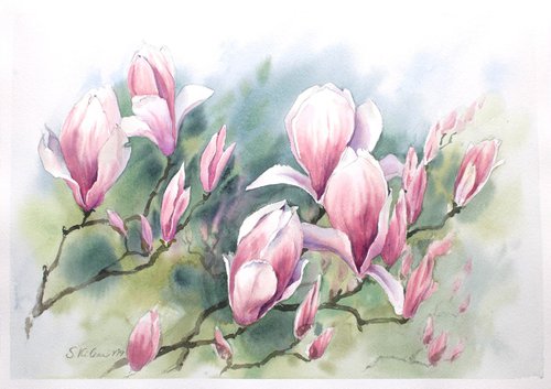 Magnolia Blossoms by Svetlana Kilian