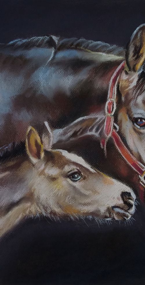 Mare and colt by Magdalena Palega