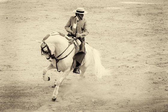 WHITE CHARGER 2.