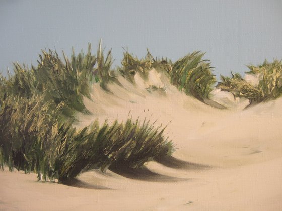 Dunes in Summer