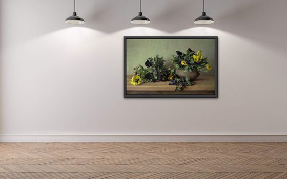 Pansies, 50x80cm, oil on canvas, 2018, original classic still life