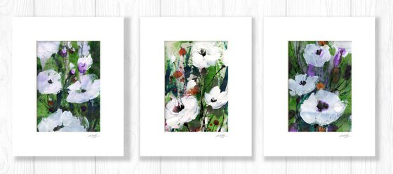 Abstract Floral Collection 3 - 3 Flower Paintings in mats by Kathy Morton Stanion