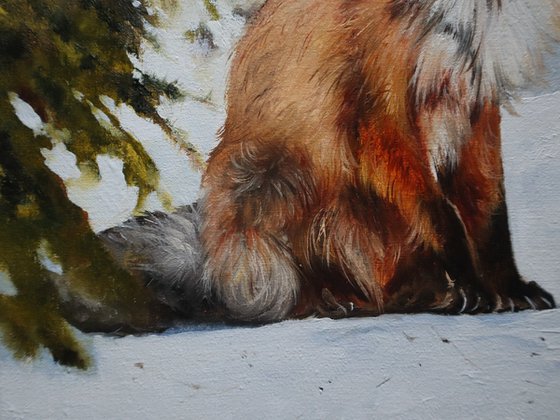Red Fox Portrait Original Painting on Canvas - Winter Woodland Animal Wall Art
