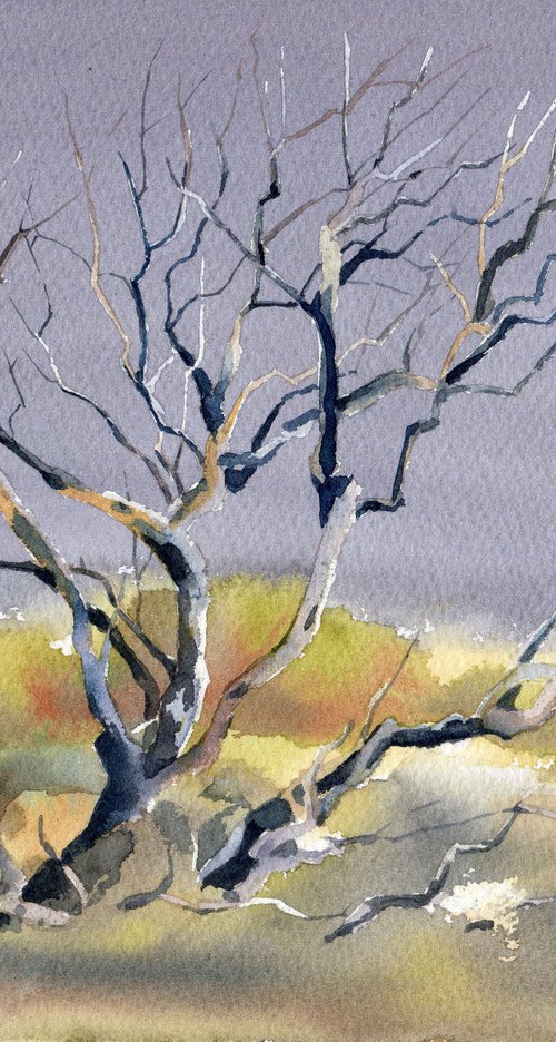 Desert tree in watercolor Arizona nature by Yulia Evsyukova