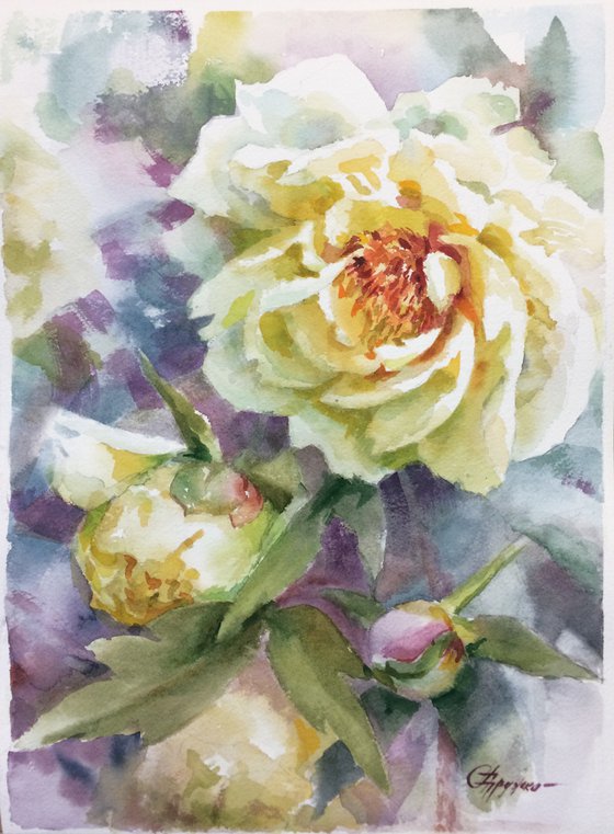 Yellow peonies #2