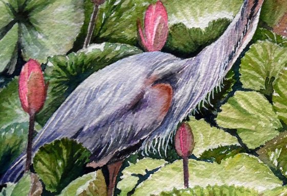Purple Heron (Watercolor original)