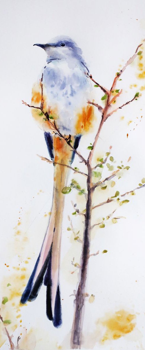 Bird by Anna Shchapova