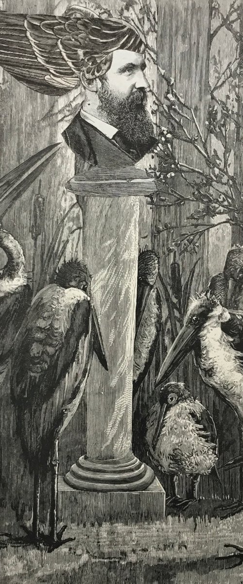 A Noble Bust by Tudor Evans