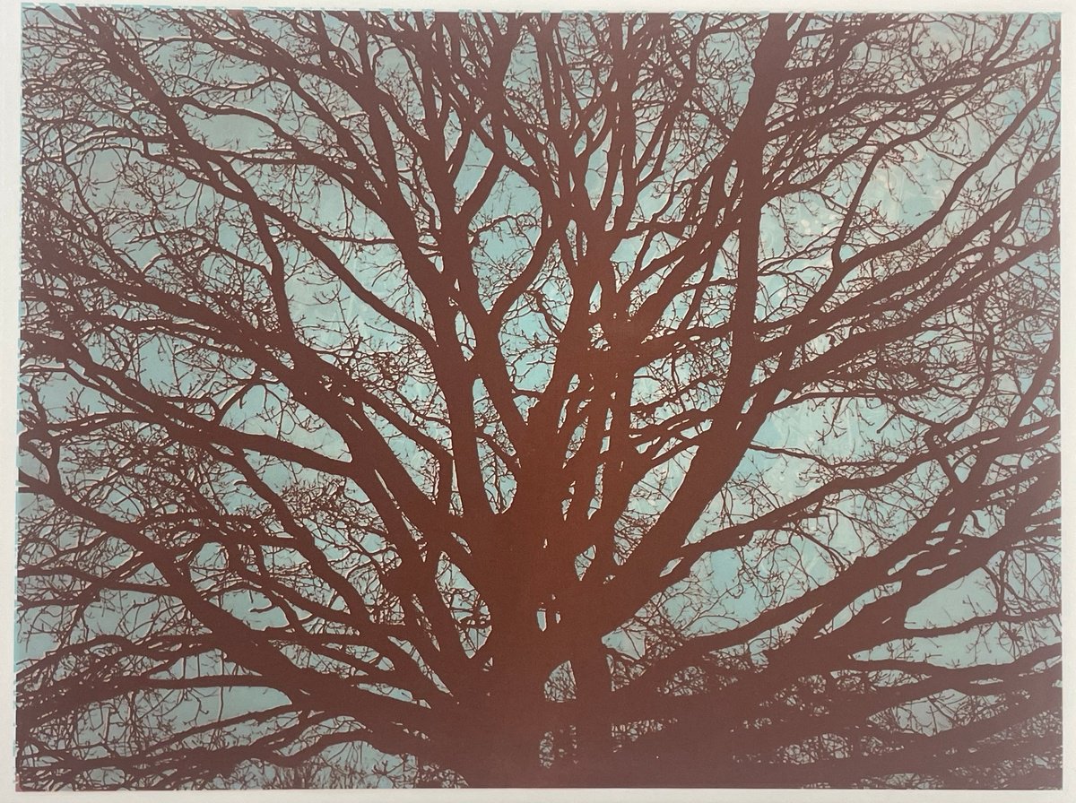 Etchings & Engravings , Branching Out By Simon Lawson, 26 X 21, Artwork For Sale On Artfinder