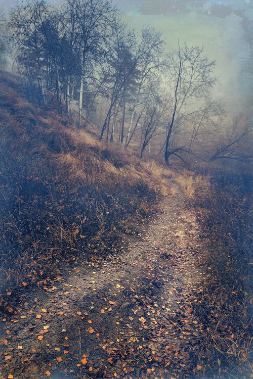 "In the mist of autumn" • Scene 6 "Late autumn road" by Valerix