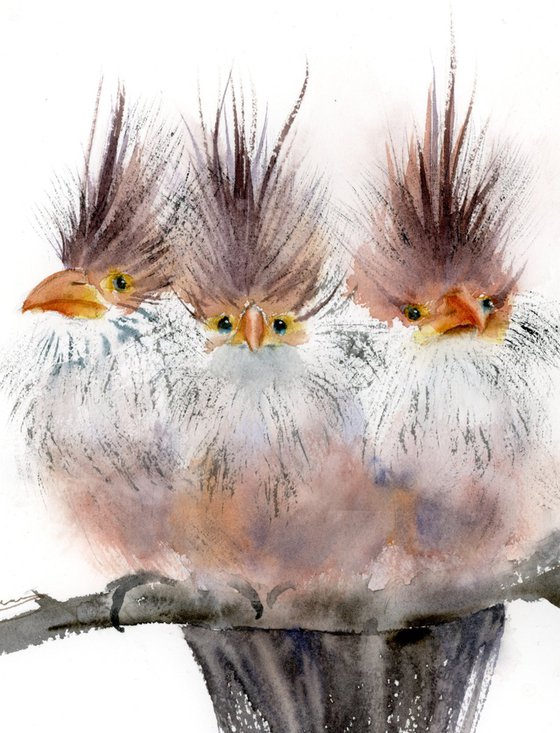Trio Of Crested Birds - Diptych