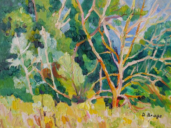Summer trees (plein air) original painting