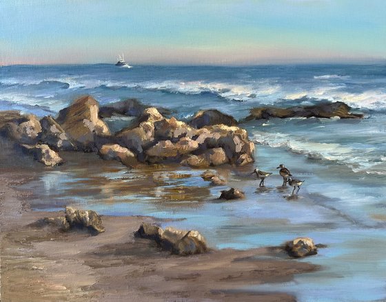 Crystal Cove Seas