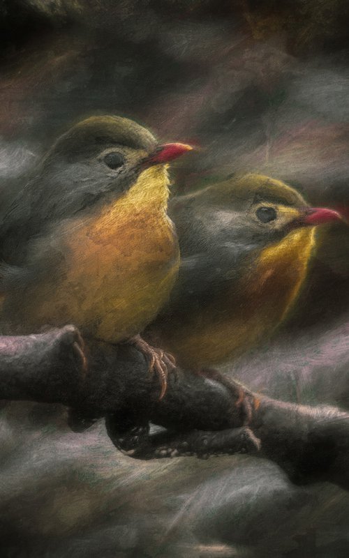Exotic Robins Textured by Paul Nash