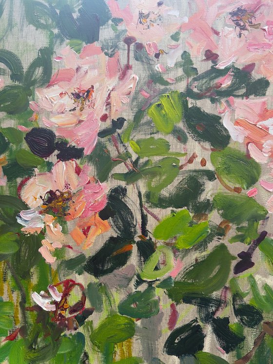 Roses in a summer garden