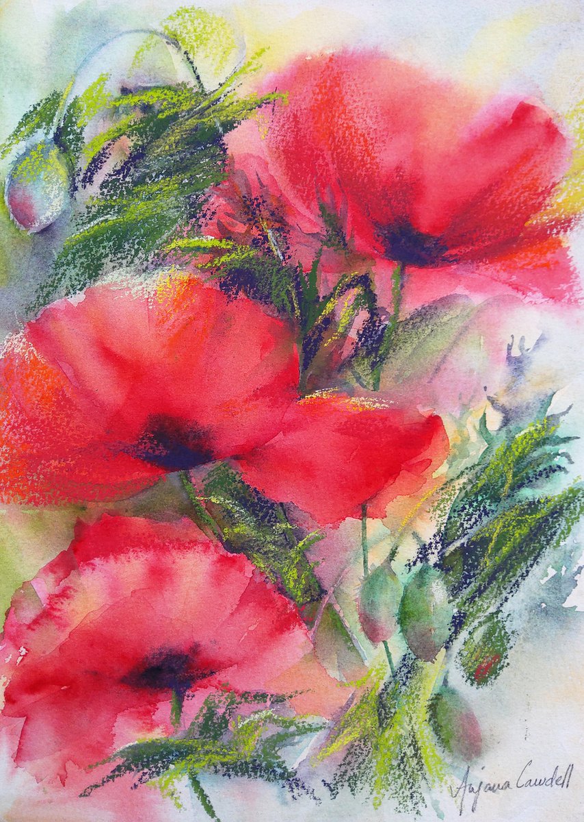 Poppies, Original mixed media painting by Anjana Cawdell